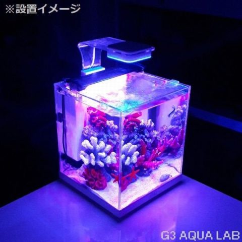 New】〜360度アクアリウム〜水族館風♡蓄光Mixハーバリウム♡♯1 - www ...