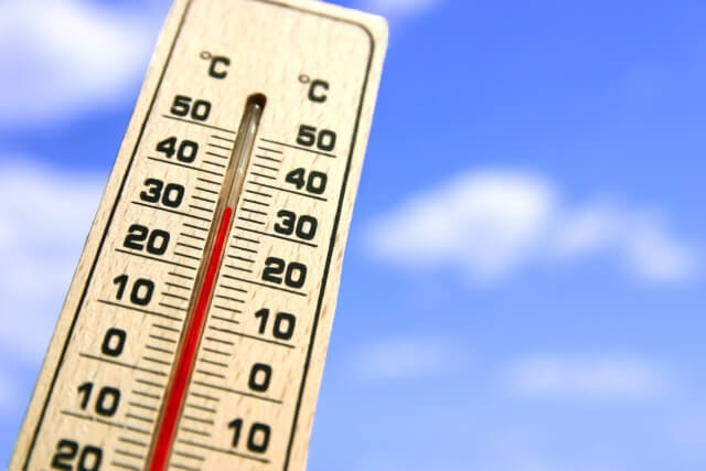 ベタに適した水温は 夏 冬の温度管理方法を解説